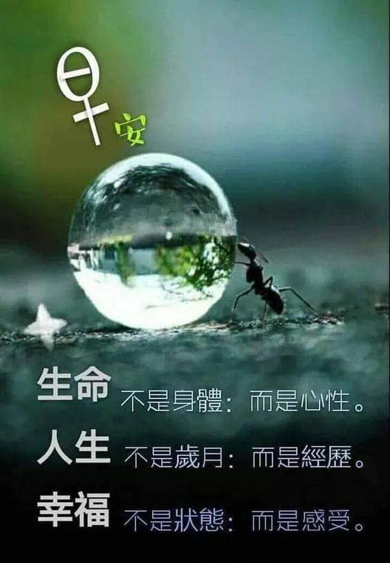 早安圖下載